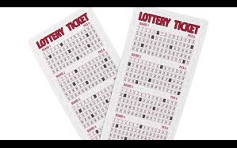 nagaland state lottery​ body image