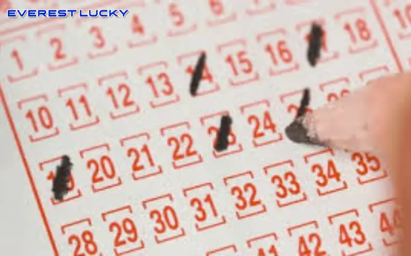 Play India Lottery Body image