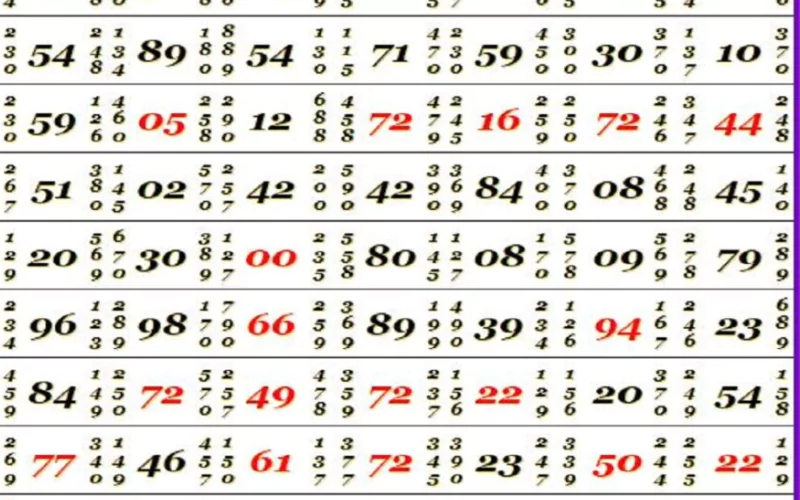 hariom satta at Everest Lottery