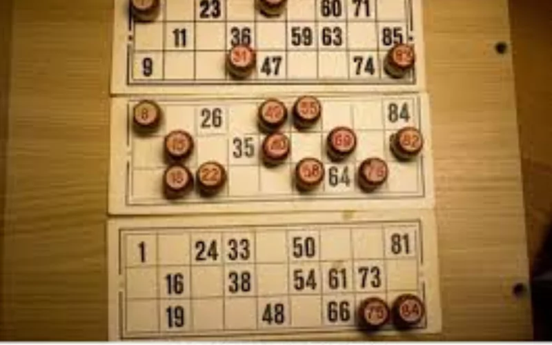 night lottery sambad​ at Everest Lottery